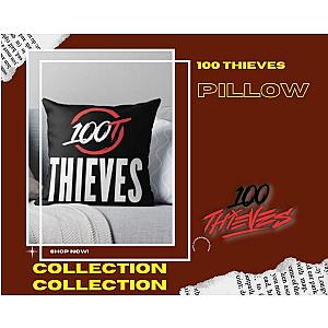 100 Thieves Pillows