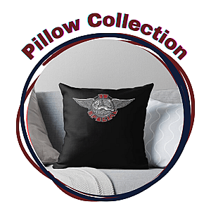 38 Special Pillows