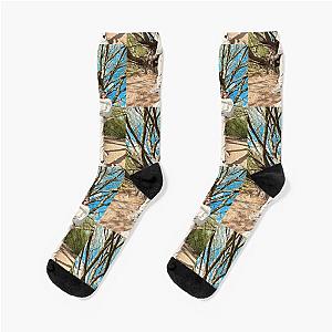 Nature boy Adam Lambert  Socks