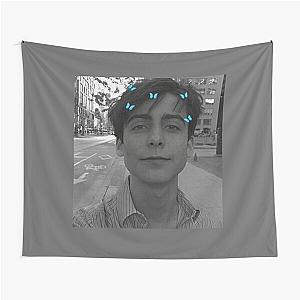 Aidan Gallagher  Classic Tapestry