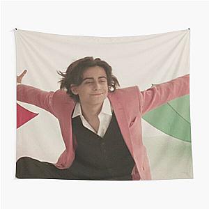 Aidan Gallagher pink jacket Tapestry