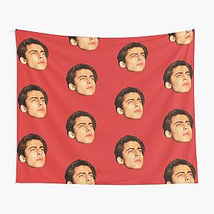 of Aidan Gallagher Tapestry