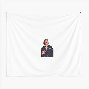 Aidan gallagher  Tapestry