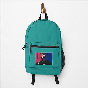 Alan Walker Fan art   Backpack