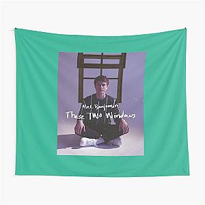 Alec Benjamin rujackks these two windows   Tapestry