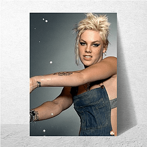 Recording Artist Alecia Beth Moore Alecia Beth Moore Posters