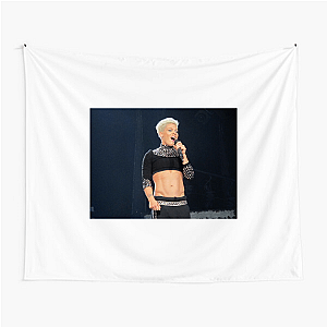 Music Star Alecia Beth Moore Alecia Beth Moore Tapestries