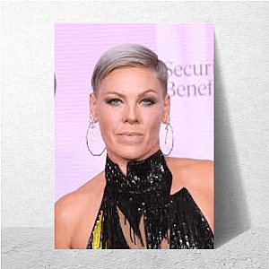 Live Performer Alecia Beth Moore Alecia Beth Moore Posters