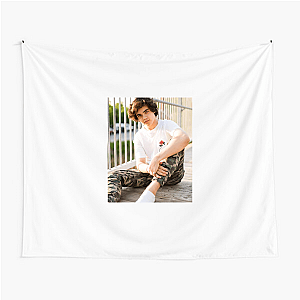 Alexander Stewart Beyond The Lyrics Alexander Stewart Tapestries