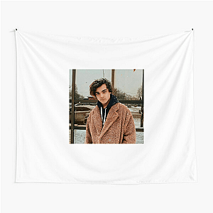 Alexander Stewart Blame's On Me Fan Alexander Stewart Tapestries