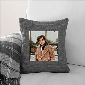 Alexander Stewart Blame's On Me Fan Alexander Stewart Pillows Cover