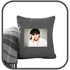 Alexander Stewart Pillows Cover