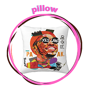 Anderson .Paak Pillows