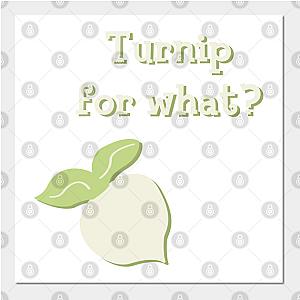 Animal Crossing Posters - Turnip for What? Poster TP2712