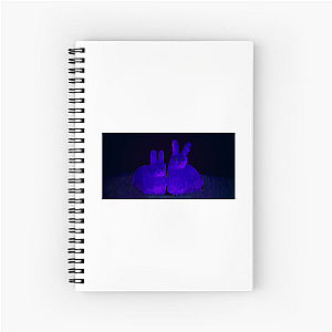 ANIMAL WELL Unravel The Labyrinth Animal Well Notebook