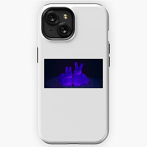 ANIMAL WELL Unravel The Labyrinth Animal Well iPhone Cases