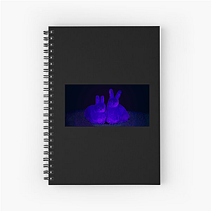 ANIMAL WELL Unravel The Labyrinth Animal Well Notebook