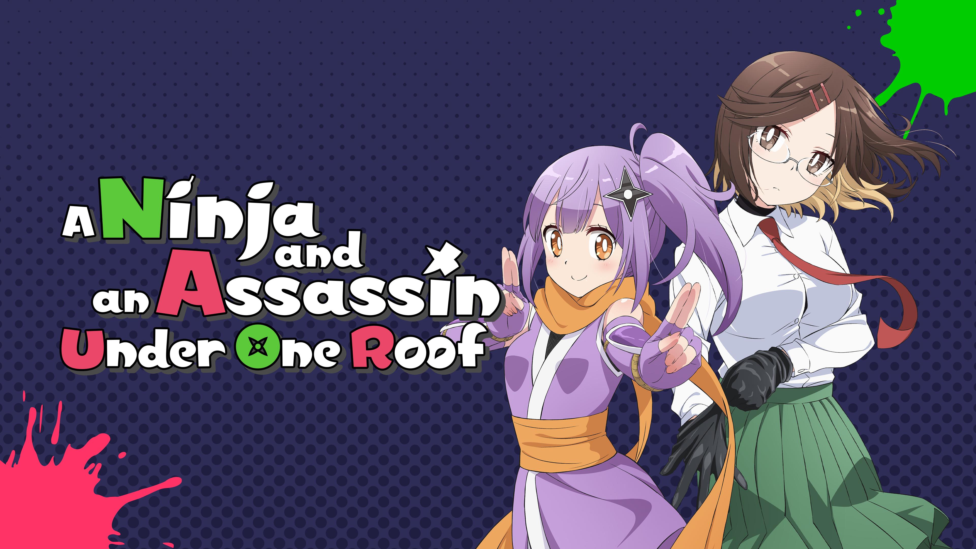 Ninja vs Assassin: Unleashing Epic Anime Merch at Our Official Shop!
