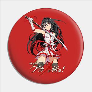 akame sword strike pose Pin TP0501