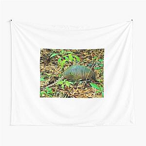 Anne Marie the Armadillo browsing for breakfast Tapestry