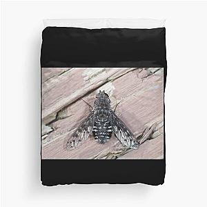 Anthrax sp. fly close-up Duvet Cover