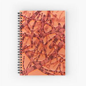 Microscopic view of Anthrax. Spiral Notebook