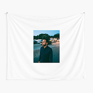 Anwar Jibawi Special Collection Anwar Jibawi Tapestries