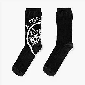 A Perfect Circle Octopus Math Teacher Socks