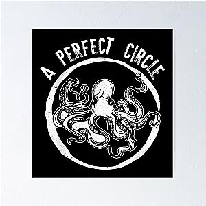 A Perfect Circle Octopus Math Teacher Poster