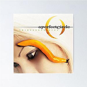 ap07 A Perfect Circle is an American rock band Poster