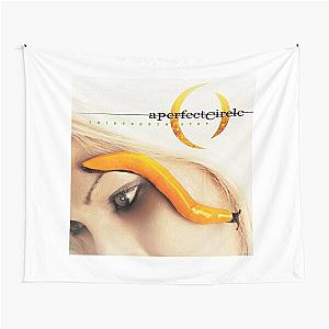 ap07 A Perfect Circle is an American rock band Tapestry