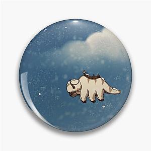 Appa snowy night Pin