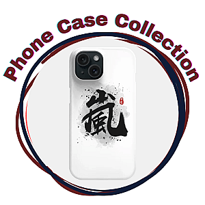 Arashi Cases