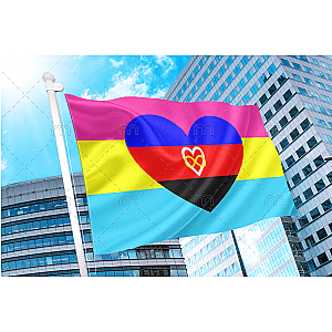 Polyamory Pansexual Combo Flag | Aromantic Flag Store PN2101