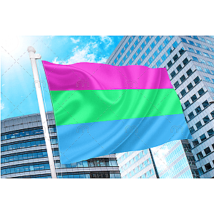 Polysexual Pride Flag | Aromantic Flag Store PN2101