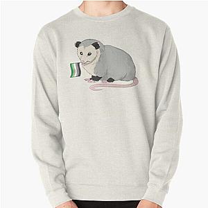 Aromantic Sweatshirts - Aromantic Pride Flag Opossum Pullover Sweatshirt RB1901