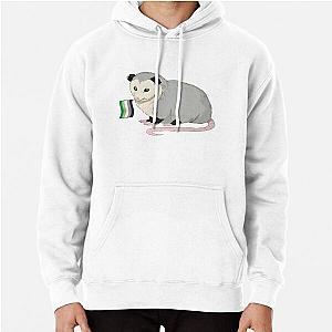 Aromantic Hoodies - Aromantic Pride Flag Opossum Pullover Hoodie RB1901