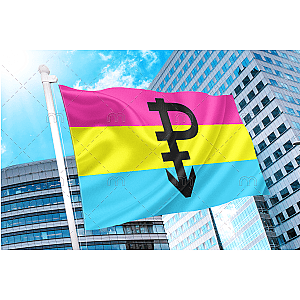 Pansexual Pride Flag with P | Aromantic Flag Store PN2101