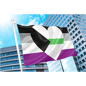 Demiromantic Asexual Pride Flag | Aromantic Flag Store PN2101