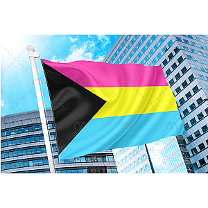 Demisexual Panromantic Pride Flag | Aromantic Flag Store PN2101