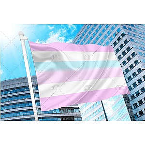 Intersex Pride Flag | Aromantic Flag Store PN2101