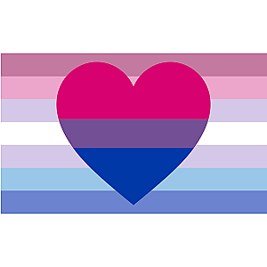 Bisexual Bigender Pride Flag | Aromantic Flag Store PN2101