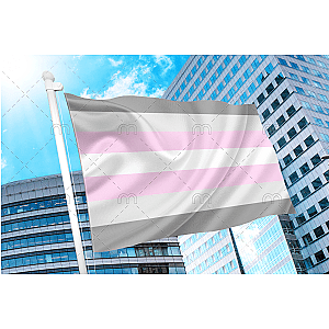 Demigirl Pride Flag | Aromantic Flag Store PN2101