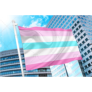 Femboy Flag | Aromantic Flag Store PN2101