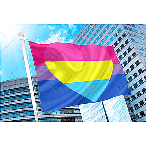 Bisexual Panromantic Pride Flag | Aromantic Flag Store PN2101