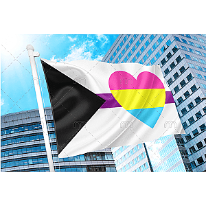 Demisexual Panromantic Pride Flag - Heart | Aromantic Flag Store PN2101