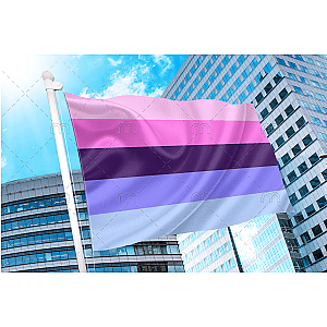 Omni Pride Flag - Omnisexual | Aromantic Flag Store PN2101