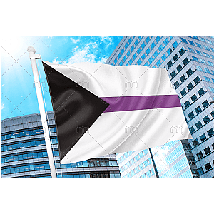 Demisexual Pride Flag | Aromantic Flag Store PN2101