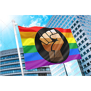 Pride Support Fist Rainbow Flag - QPOC | Aromantic Flag Store PN2101