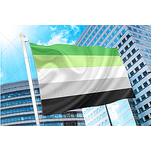 Aromantic Pride Flag | Aromantic Flag Store PN2101